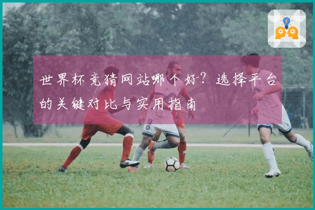 世界杯竞猜网站哪个好？选择平台的关键对比与实用指南