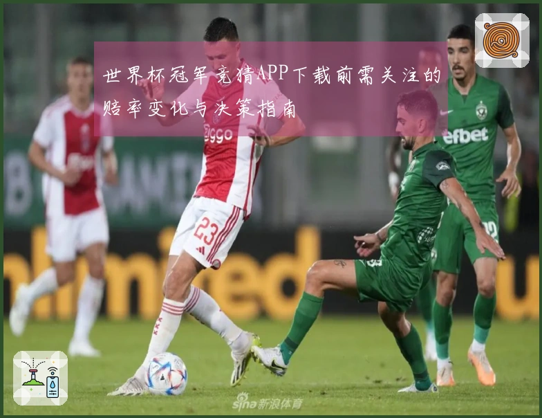 世界杯冠军竞猜APP下载前需关注的赔率变化与决策指南