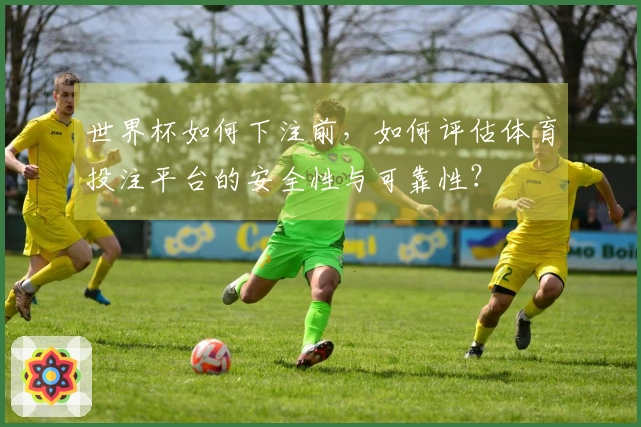 世界杯如何下注前，如何评估体育投注平台的安全性与可靠性？